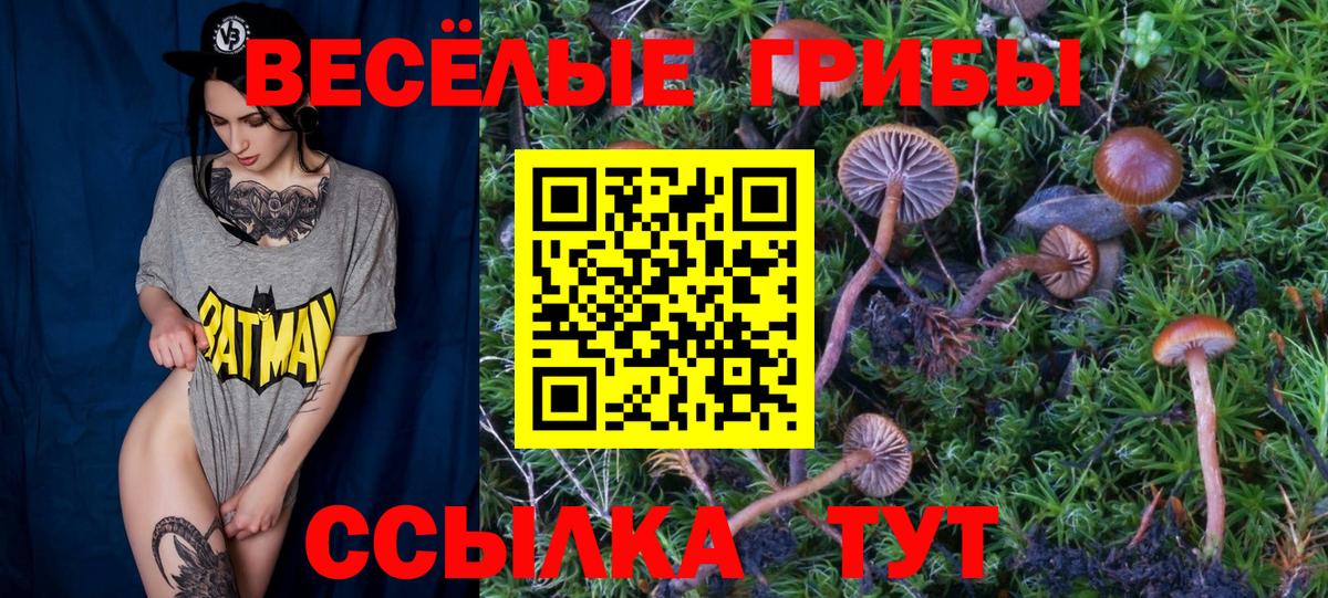 Галлюциногенные грибы Psilocybine cubensis  Вход с VPN  Славянск-на-Кубани 