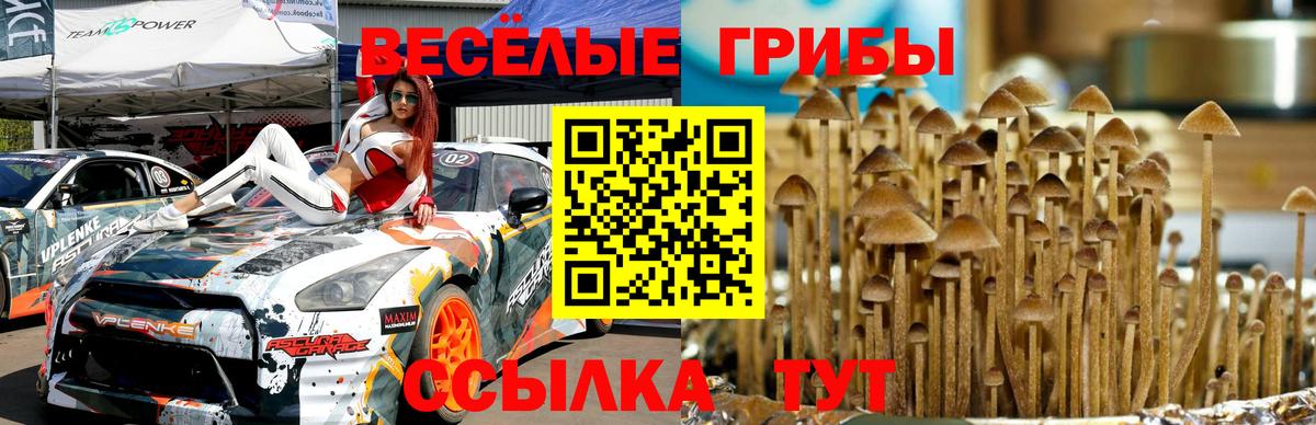 Галлюциногенные грибы Magic Shrooms Славянск-на-Кубани