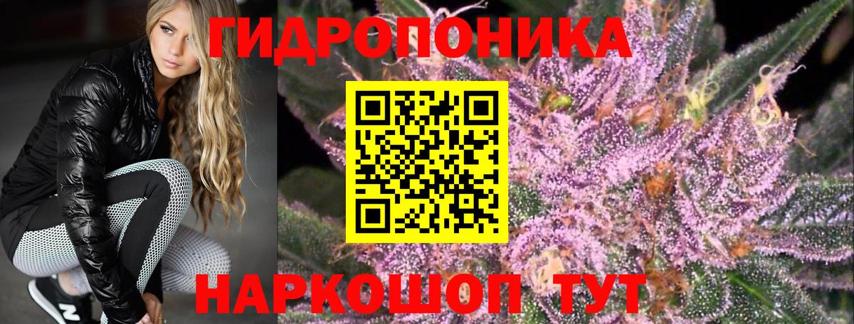 Марихуана VHQ  МАРИХУАНА Bruce Banner  Вход с VPN  Каннабис сатива  Славянск-на-Кубани 
